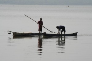 Pêcheurs à l'épervier